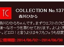 [Maxi-247] 2014-06-11 TOKYO COLLECTION No.137 森川ひかる [30P/17.1MB]