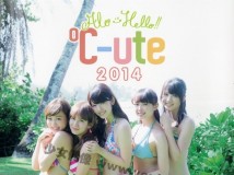 °C-ute Allo-Hello 2014