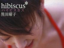 熊田曜子(Yoko Kumada) - Hibiscus ハイビスカス(BBBE-3619)