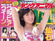 [Young Animal] 2014 No.22 仙石みなみ Minami Sengoku 佐藤ありさ Sato Arisa